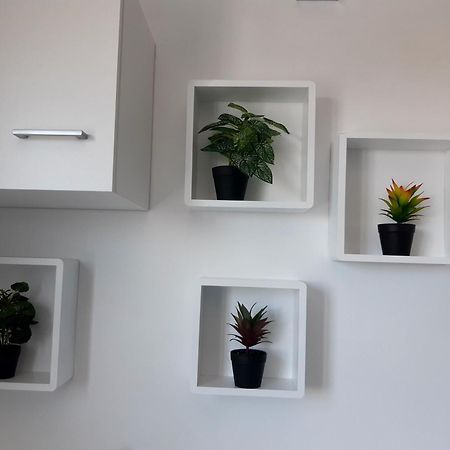 Joli Appartement, Piscine, Jacuzzi Sainte-Suzanne Eksteriør billede