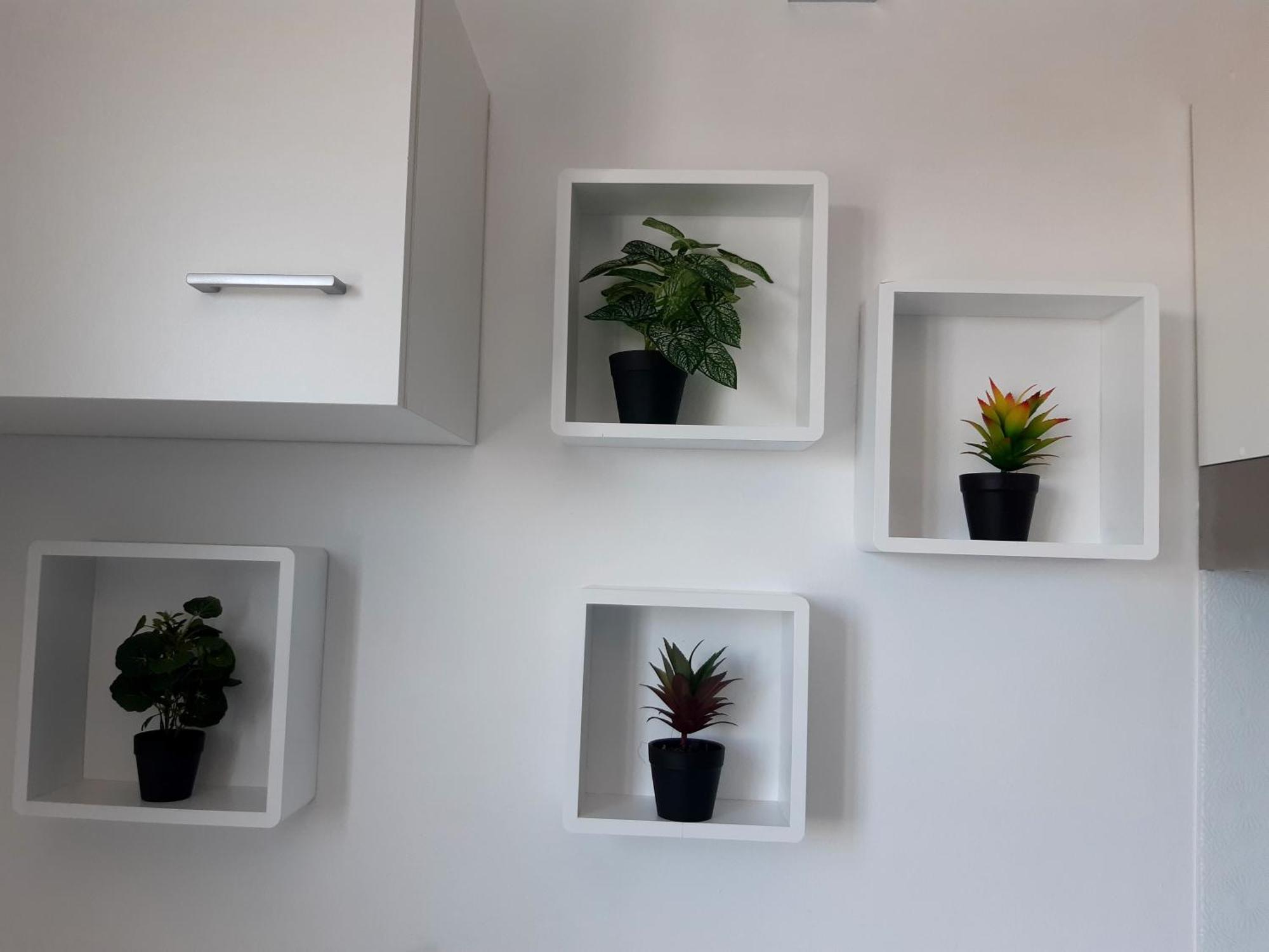 Joli Appartement, Piscine, Jacuzzi Sainte-Suzanne Eksteriør billede